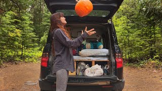 carving a pumpkin on the back of my car - halloween special