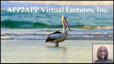 APP2APP Promo