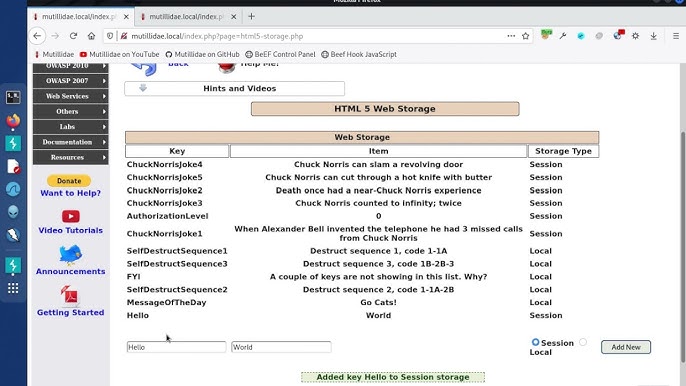 Explorando Cross Site Scripting (XSS) Refletido 