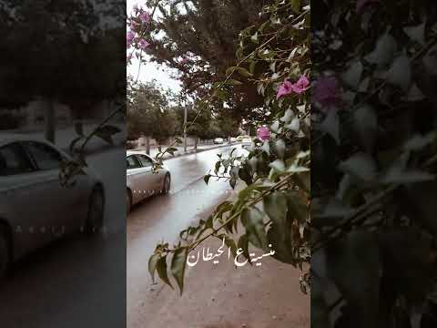 فيروز وينن