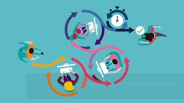 HCL OneTest - The DevOps Model