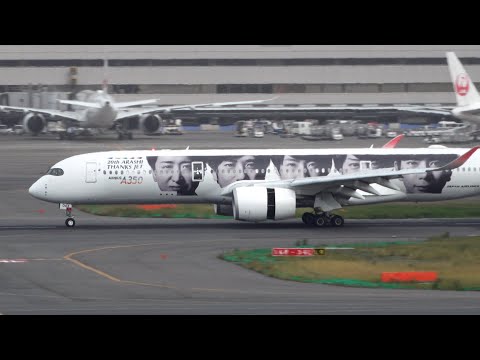 JAL 嵐ジェット 
