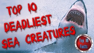 Deadliest Sea Creatures - Top 10