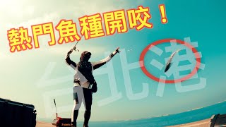 『世界級商港』咬度有！先等等。。為什麼線杯在釣魚時變色？這海水有毒！？