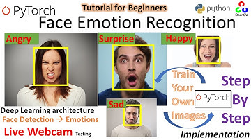 Realtime Face Emotion Recognition | PyTorch | Python| Deep Emotion | Stepwise Implementation