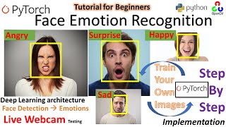 Realtime Face Emotion Recognition | PyTorch | Python| Deep Emotion | Stepwise Implementation screenshot 4