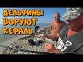 Рыбалка на кефаль / Лучший отдых  на Черном море / Лазурное / Херсонская область