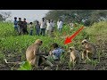Bocah 2 Tahun Hidup Dengan Gerombolan Monyet!! Samarth Bangari Mowgli Medern,.