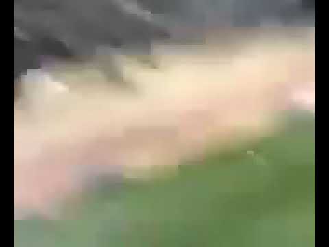 هدف محمد ابو تريكة في الصفاقسي التونسي نهائي  ٢٠٠٦ من المدرجات وصدمة الجمهور لحظة الهدف- فيديو نادر
