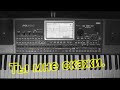 KorgStyle -Ты мне скажи (Korg Pa 900) DemoVersion