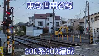 東急世田谷線 300系303編成【20240410】