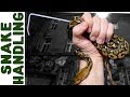 Snake Training [Lifelong Expert Shares All]