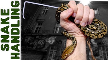 Snake Training [Lifelong Expert Shares All]