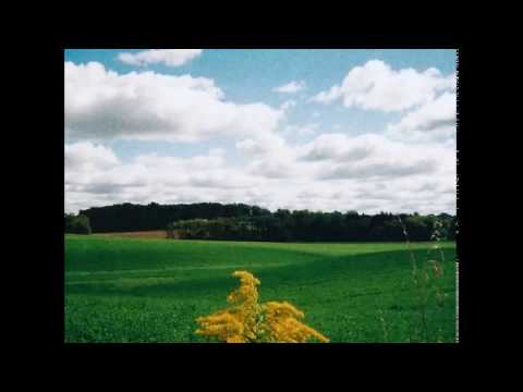 Mark Kozelek — Pretty Little Flowers (feat. Kath Bloom)