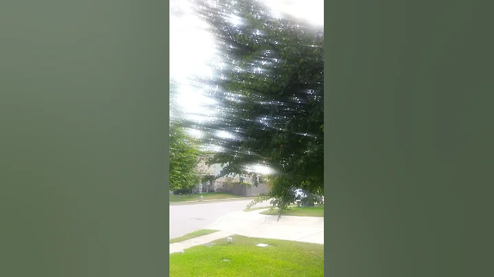 Tree car