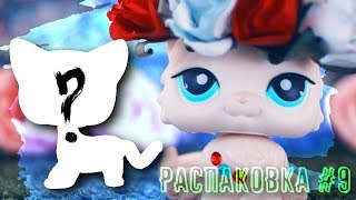 видео: LPS: РАСПАКОВКА #9~НОВАЯ СТОЯЧКА~(совместно с Kiwi)~Rachel картинка: LPS: РАСПАКОВКА #9~НОВАЯ СТОЯЧКА~(совместно с Kiwi)~Rachel