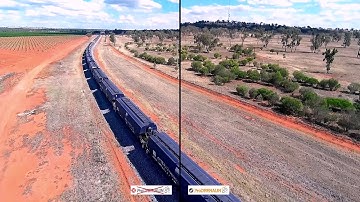 Prodrenalin stabilization test