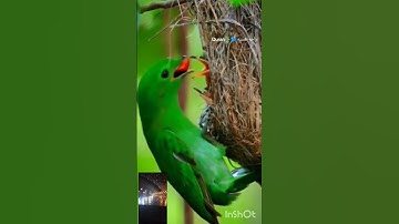 دقيقة من وقتك إستمع فيها للقرآن الكريم.