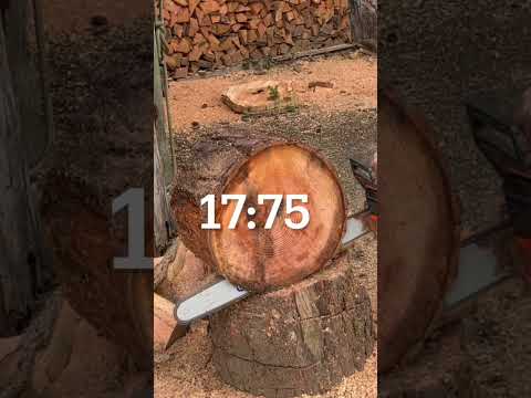 Chainsaw muffler upgrade