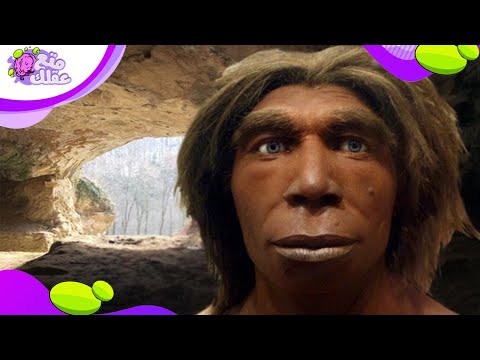 فيديو: هل تم اكتشاف المعادن في عصر رجل الكهف؟
