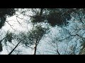 Friday Night Plans - "Before I knew" Audio Visual (Dir.Risa Nishimura)