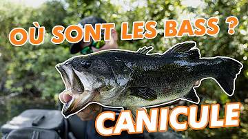 Où pêcher black bass en France ?