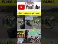 Moto Nova segredos para não errar na compra.