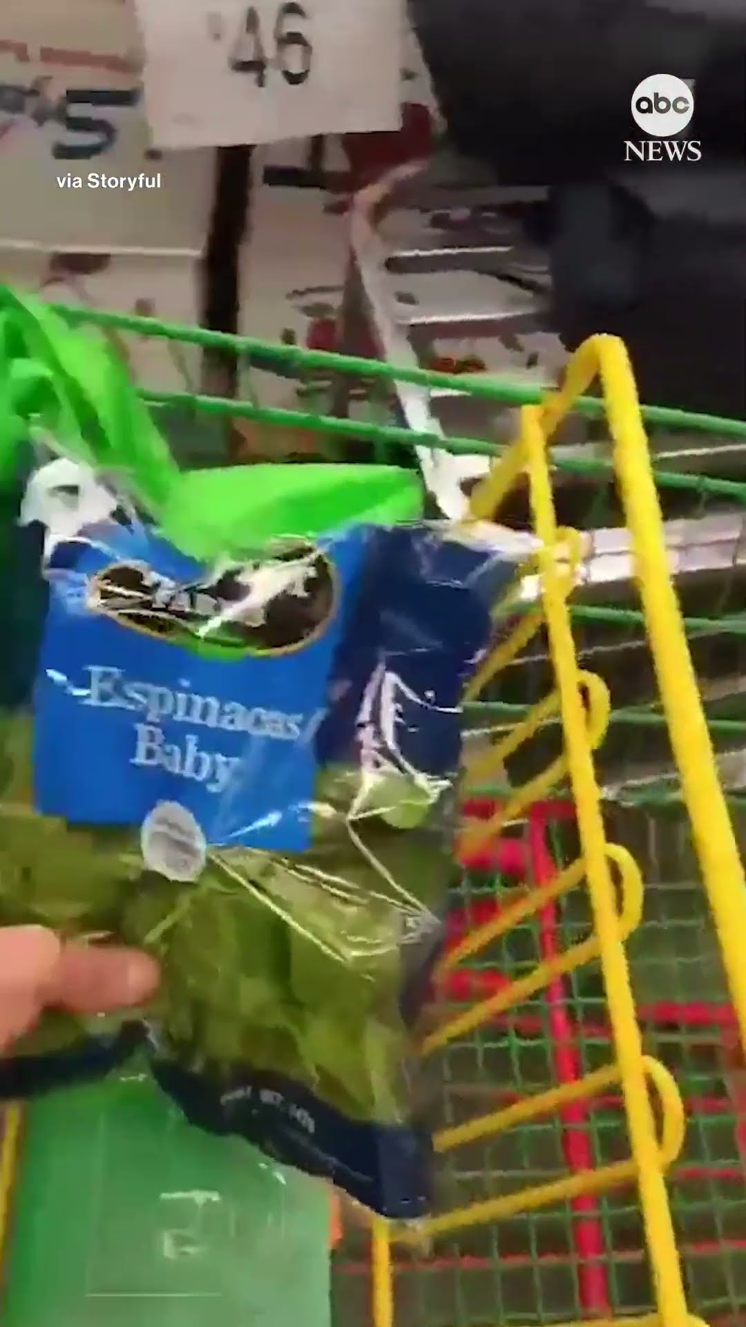 Shoppers find live frog in bag of spinach in Mexico #frogs #food #shopping #animals #mexico