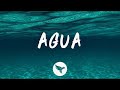 Tainy J Balvin Agua Music From Sponge On The Run Movie Tainy J Balvin Agua Music From Sponge On The Run Movie
