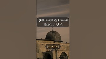 سورة يوسف الآية ٣٤ و ٣٥ بصوت الشيخ محمد صديق المنشاوي