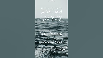 سورة الزخرف من الأية 68 الى 71 محمد أيوب