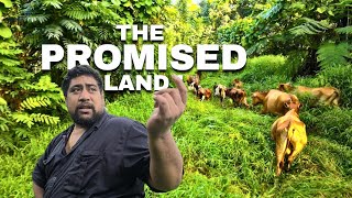 Download Lagu Forgotten Land Sat for 30 Years… Until Now!! MP3 Download Lagu Forgotten Land Sat for 30 Years… Until Now!! MP3