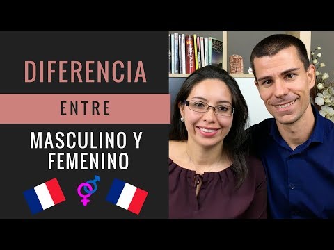 Video: ¿La escuela secundaria en francés es masculino o femenino?