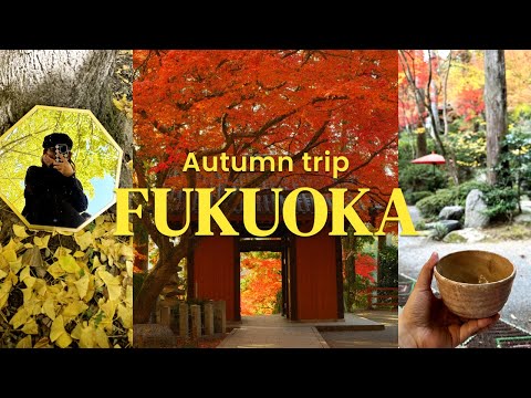 Solo Autumn Trip in Fukuoka 🇯🇵 | Ramen, Cafes, Christmas Market, Daikozenji Temple, & Dazaifu