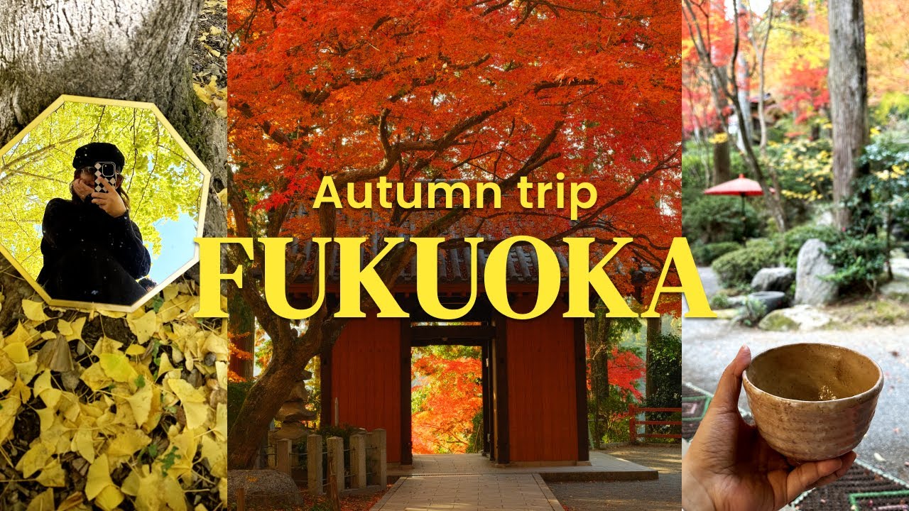 Common prepositions in english. Complete the dialogue. On the next week или in the next week. I to go to the theatre yesterday. Last week trip.