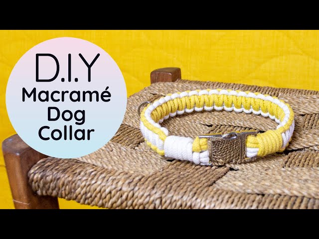 Beaded Pearl Dog Collars - Unbreakable collars for all dog sizes – Bark  Trends And Treats