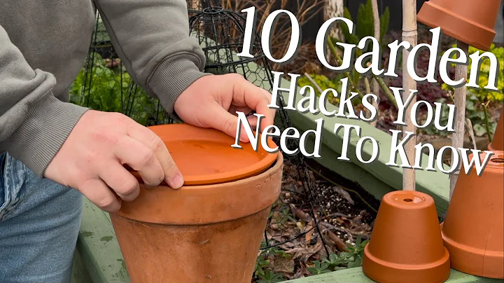 10 FREE Gardening Hacks You’ll Wish You Knew Sooner! 🌱🤯 || Visit Our Garden thumbnail
