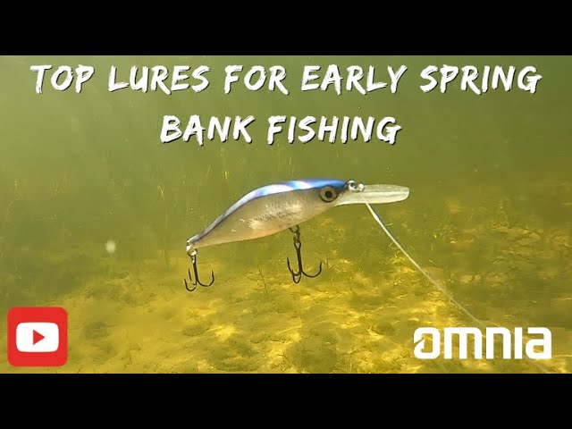 Spring Shoreline Secrets: Best Baits for Bank Anglers in the Pre Spawn! 