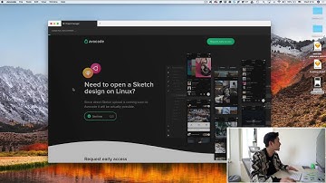 New Avocode 2.24: Finally a way to open Sketch designs on Windows or Linux