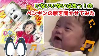 【赤ちゃん喜ぶ】いないいないばあっ！のペンギンの歌を聞かせてみた VLOG / I tried to show the video that the baby is happy