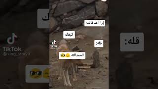 تعلم قصف 