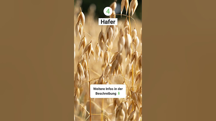 Die populärsten Getreidearten