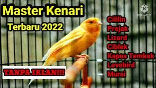 MASTERAN KENARI CENGKOK MEWAH BERVARIASI | Masteran Kenari Full Isian Terbaru 2022 #masterankenari