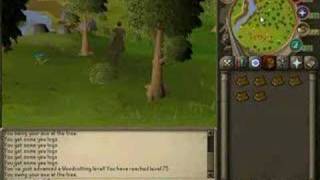 GermanSmarts Getting 75 WoodCutting screenshot 2