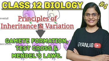 Chapter 5- Principles of Inheritance & Variation- Test Cross & Mendel
