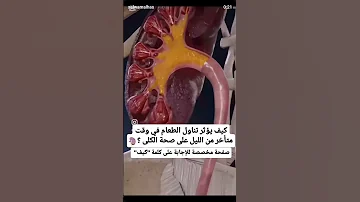 تأثير تناول الطعام في وقت متأخر من الليل تمريض صحة التهاب ترند الامارات طب دواء المغرب 