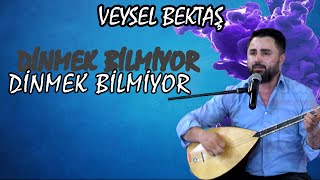 VEYSEL BEKTAŞ - DİNMEK BİLMİYOR Resimi