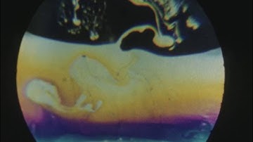 Exploring the Colours of Soap Films in Motion