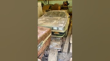 Abandoned Delorean barn find first wash #backtothefuture #delorean #80s #shorts