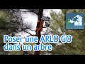 Pose dune camra arlo go dans un arbre